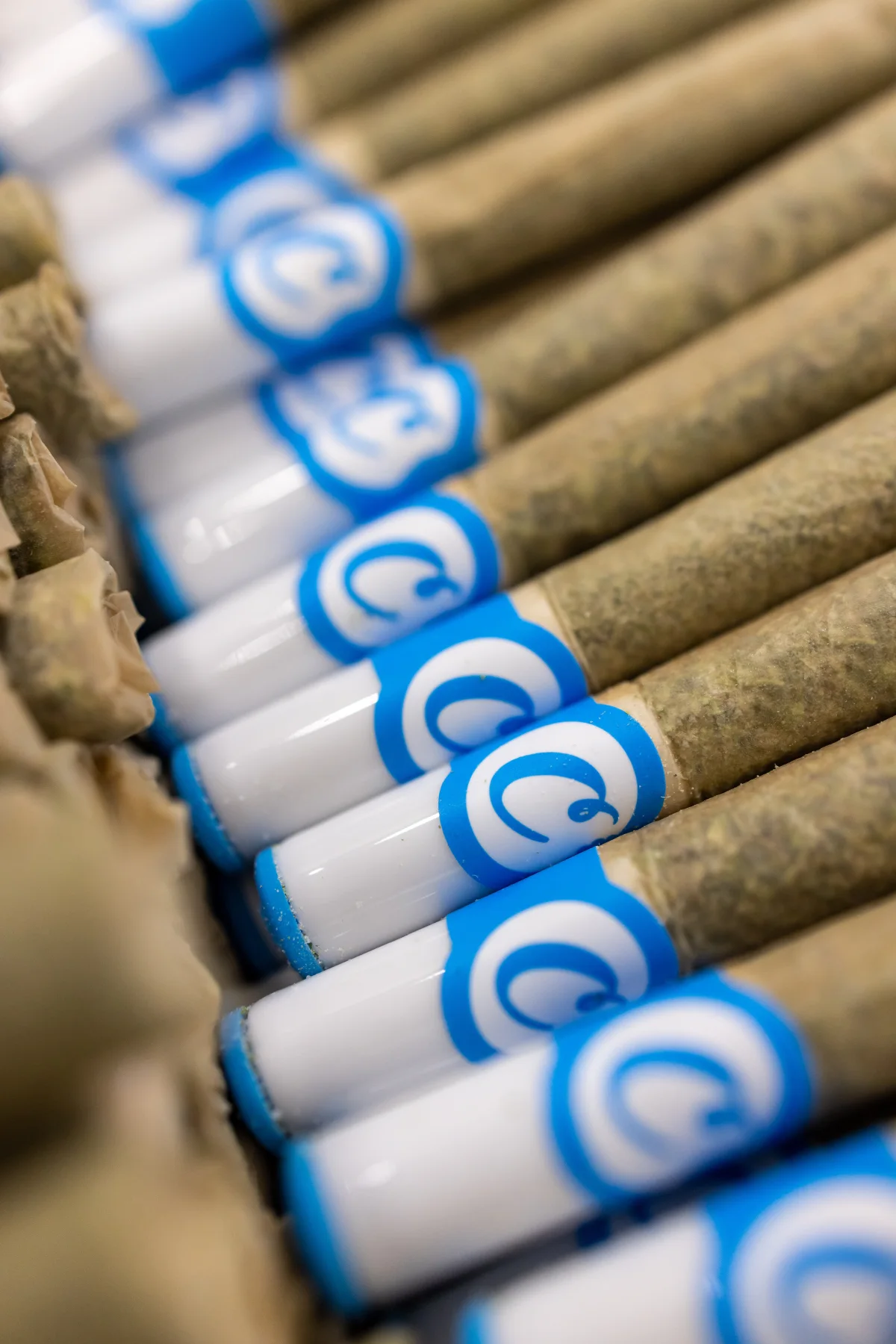Cookies pre-roll components arranged on a production table